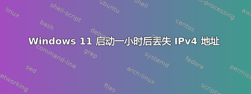 Windows 11 启动一小时后丢失 IPv4 地址