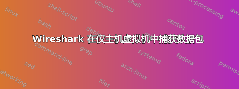 Wireshark 在仅主机虚拟机中捕获数据包