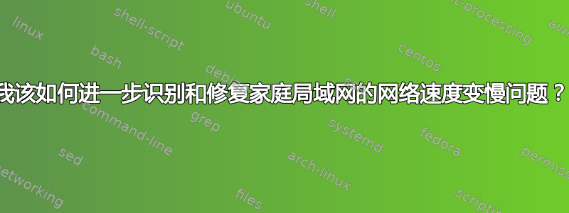 我该如何进一步识别和修复家庭局域网的网络速度变慢问题？