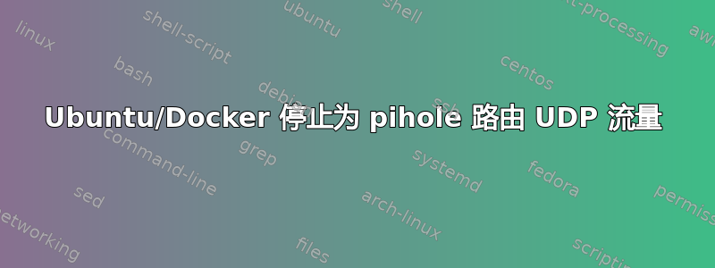 Ubuntu/Docker 停止为 pihole 路由 UDP 流量