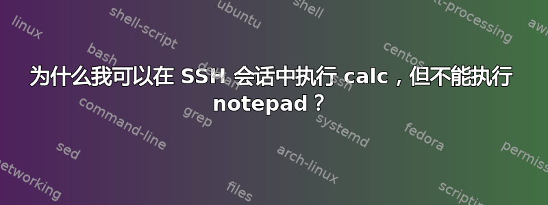 为什么我可以在 SSH 会话中执行 calc，但不能执行 notepad？