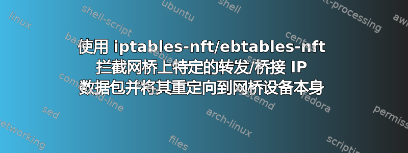 使用 iptables-nft/ebtables-nft 拦截网桥上特定的转发/桥接 IP 数据包并将其重定向到网桥设备本身