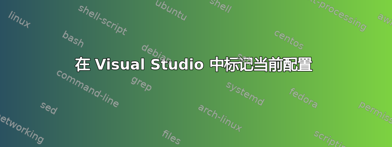 在 Visual Studio 中标记当前配置