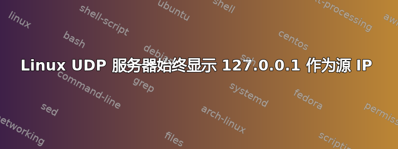 Linux UDP 服务器始终显示 127.0.0.1 作为源 IP