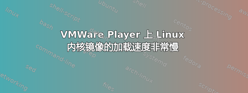 VMWare Player 上 Linux 内核镜像的加载速度非常慢