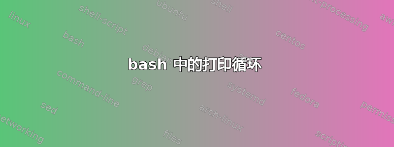 bash 中的打印循环