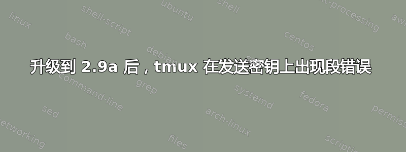 升级到 2.9a 后，tmux 在发送密钥上出现段错误