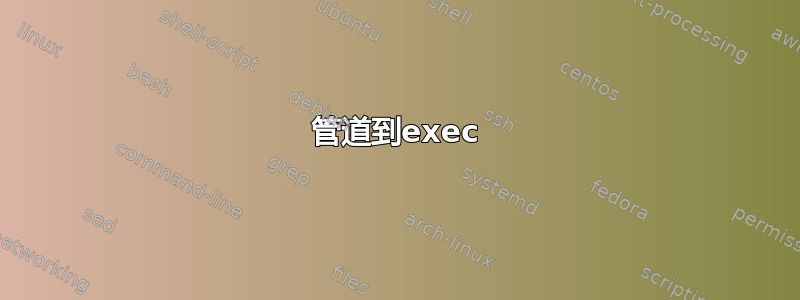 管道到exec