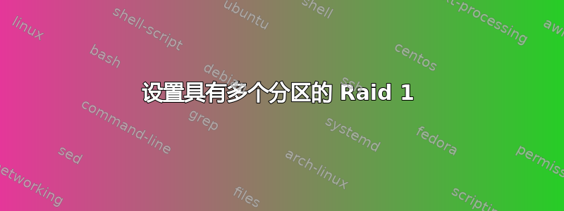 设置具有多个分区的 Raid 1