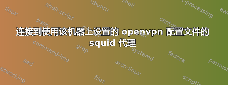 连接到使用该机器上设置的 openvpn 配置文件的 squid 代理