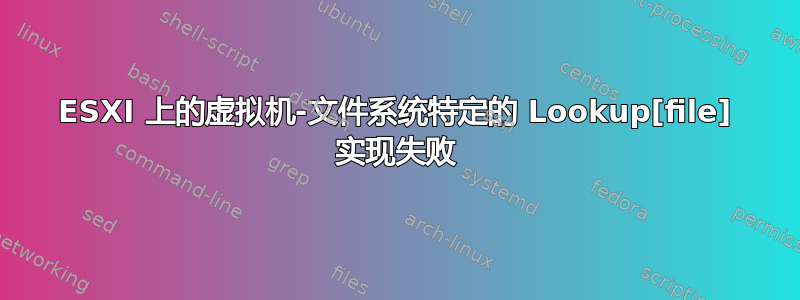 ESXI 上的虚拟机-文件系统特定的 Lookup[file] 实现失败