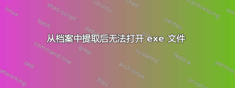 从档案中提取后无法打开 exe 文件