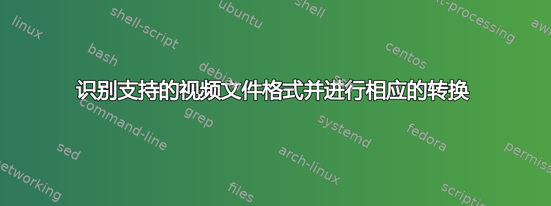 识别支持的视频文件格式并进行相应的转换