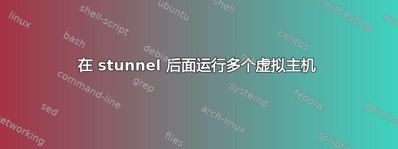 在 stunnel 后面运行多个虚拟主机