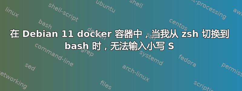 在 Debian 11 docker 容器中，当我从 zsh 切换到 bash 时，无法输入小写 S