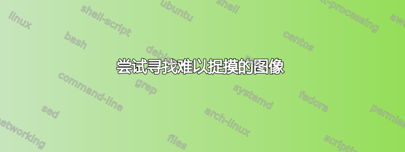 尝试寻找难以捉摸的图像