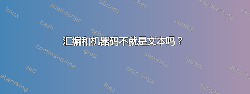 汇编和机器码不就是文本吗？