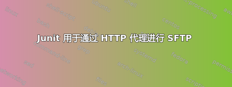 Junit 用于通过 HTTP 代理进行 SFTP