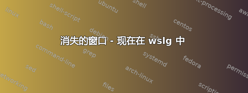 消失的窗口 - 现在在 wslg 中