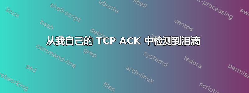 从我自己的 TCP ACK 中检测到泪滴