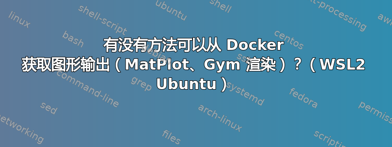 有没有方法可以从 Docker 获取图形输出（MatPlot、Gym 渲染）？（WSL2 Ubuntu）