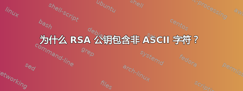 为什么 RSA 公钥包含非 ASCII 字符？