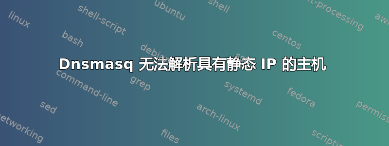 Dnsmasq 无法解析具有静态 IP 的主机