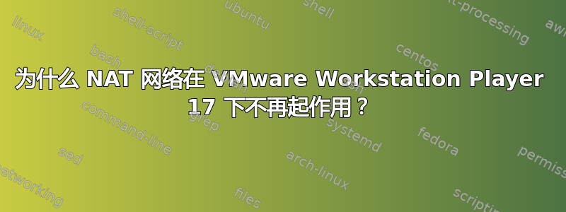 为什么 NAT 网络在 VMware Workstation Player 17 下不再起作用？