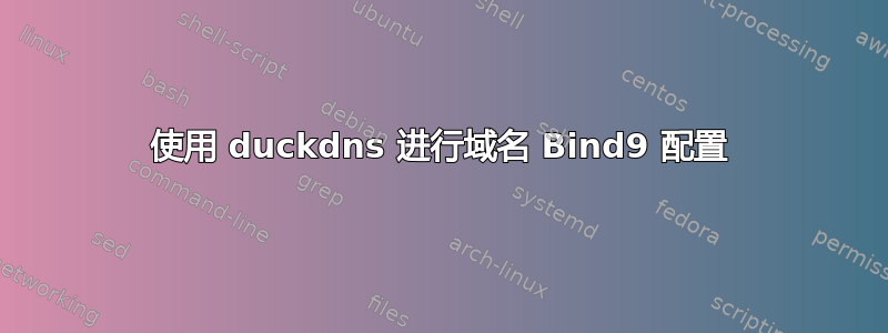 使用 duckdns 进行域名 Bind9 配置