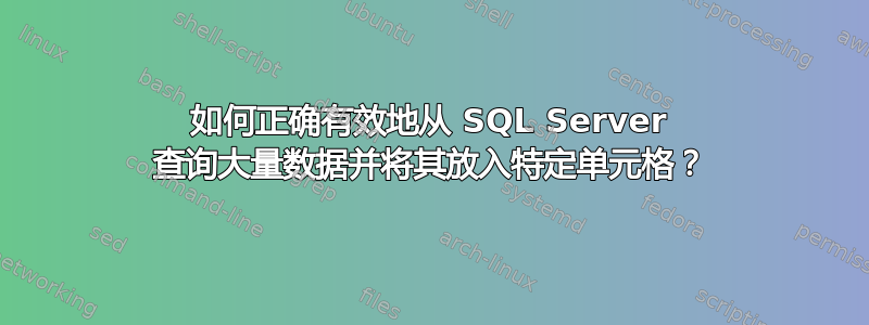 如何正确有效地从 SQL Server 查询大量数据并将其放入特定单元格？