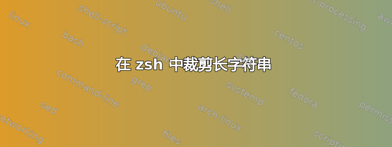 在 zsh 中裁剪长字符串