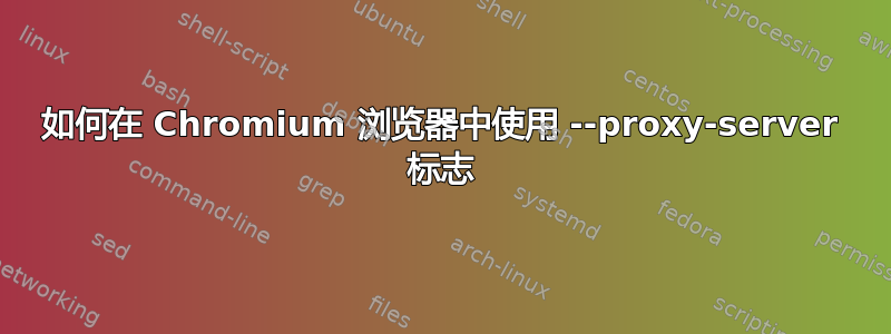 如何在 Chromium 浏览器中使用 --proxy-server 标志