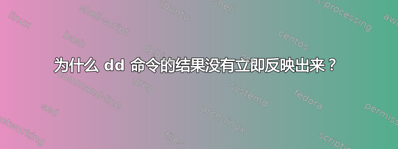 为什么 dd 命令的结果没有立即反映出来？