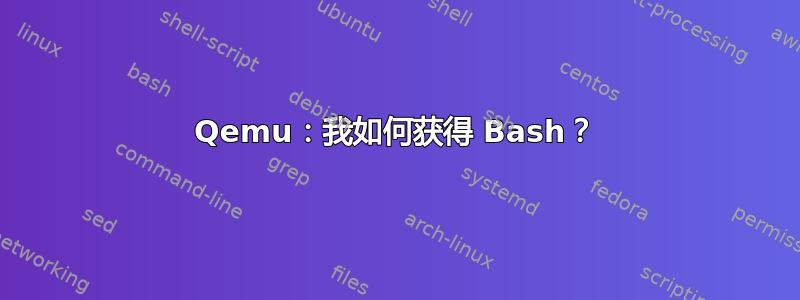 Qemu：我如何获得 Bash？