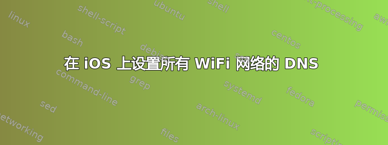 在 iOS 上设置所有 WiFi 网络的 DNS