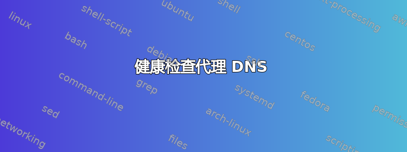 健康检查代理 DNS