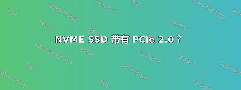 NVME SSD 带有 PCIe 2.0？