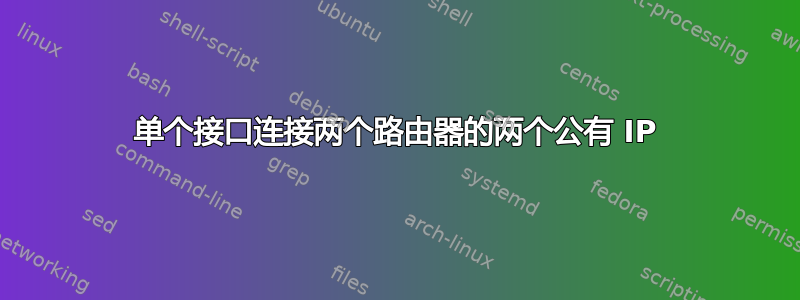 单个接口连接两个路由器的两个公有 IP