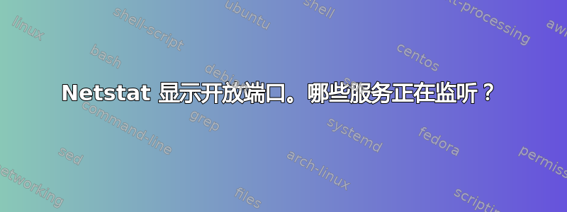 Netstat 显示开放端口。哪些服务正在监听？