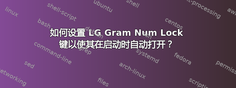 如何设置 LG Gram Num Lock 键以使其在启动时自动打开？