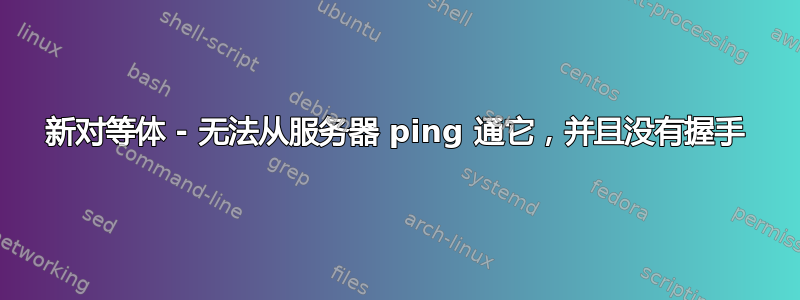 新对等体 - 无法从服务器 ping 通它，并且没有握手