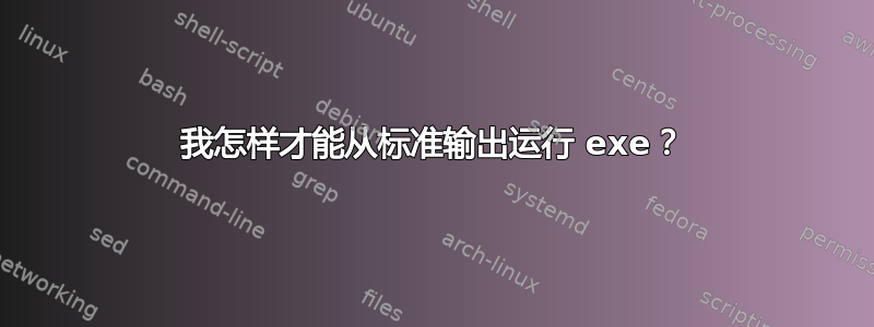 我怎样才能从标准输出运行 exe？