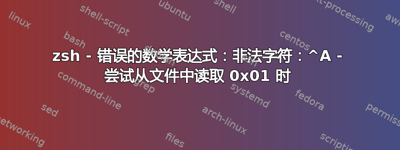 zsh - 错误的数学表达式：非法字符：^A - 尝试从文件中读取 0x01 时