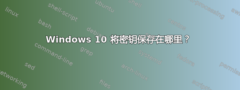 Windows 10 将密钥保存在哪里？