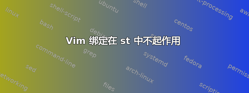 Vim 绑定在 st 中不起作用