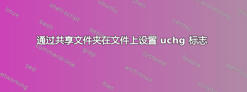 通过共享文件夹在文件上设置 uchg 标志