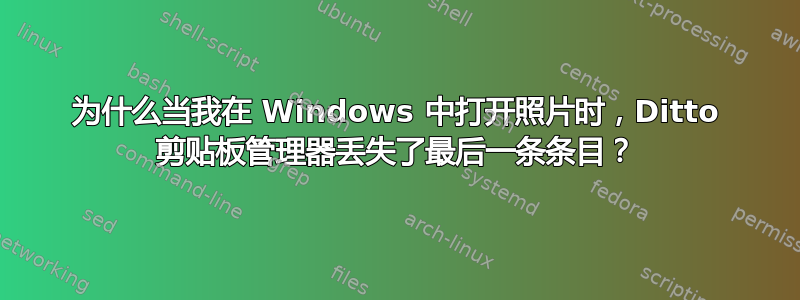 为什么当我在 Windows 中打开照片时，Ditto 剪贴板管理器丢失了最后一条条目？