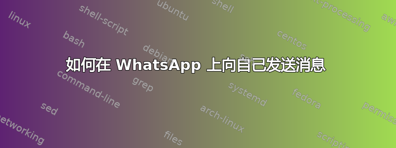 如何在 WhatsApp 上向自己发送消息