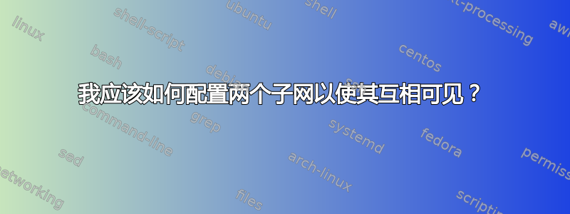 我应该如何配置两个子网以使其互相可见？