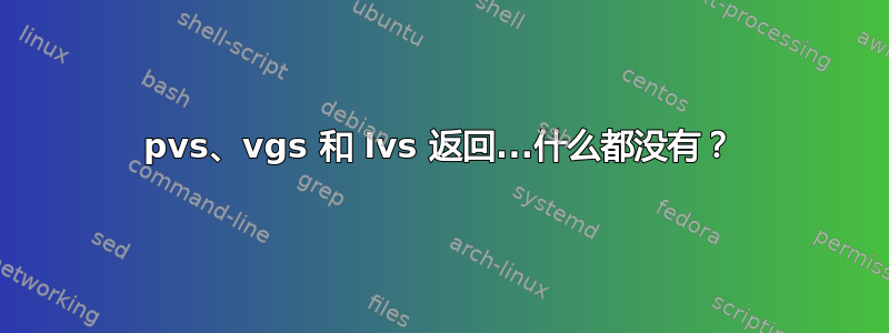 pvs、vgs 和 lvs 返回...什么都没有？